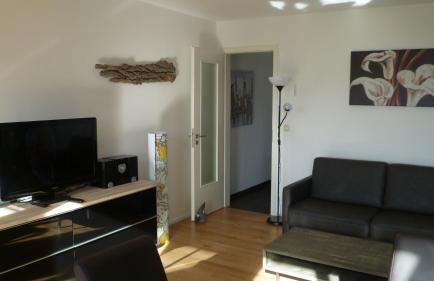 Fuchs und Elster - Foto 61