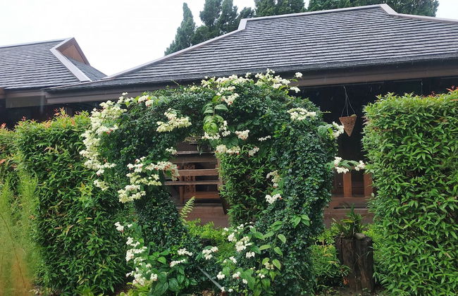 Huen Pak Mon Chantra - Foto 24