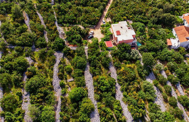 Apartment Slavka - Foto 24