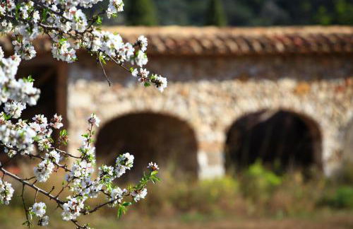 Benestar In Jalon Valley - Foto 39