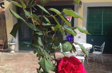 La Piccola Oasi con parcheggio - Foto 57