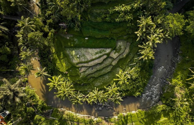 The Ridge Bali - Photo 19