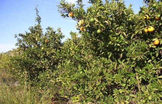 1-bed House Sleeps 4 - Free Parking, Patio, Wifi - Photo 15