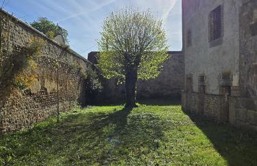 Monument historique rénové avec goût et jardin - Foto 34