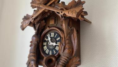 Ferienwohnung Schwarzwaldnest - Foto 1