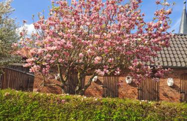 Unterkunft Mohr - Gemütlichkeit im Souterrain - Photo 16