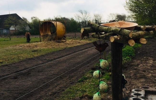 Holiday Home Rejsby near Rømø - Foto 76