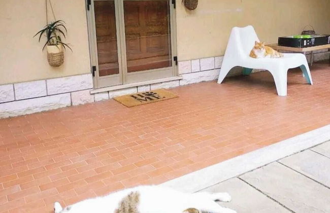 Rickymary House, Pet Friendly - Photo 27