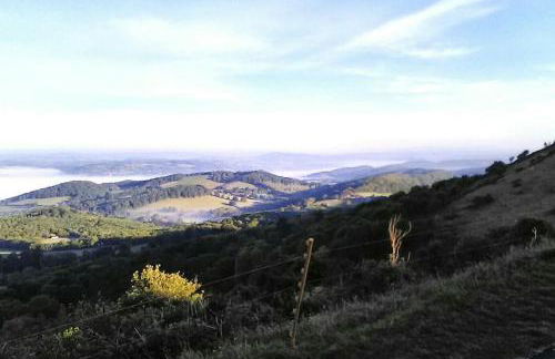 Wells Cottage - Foto 14