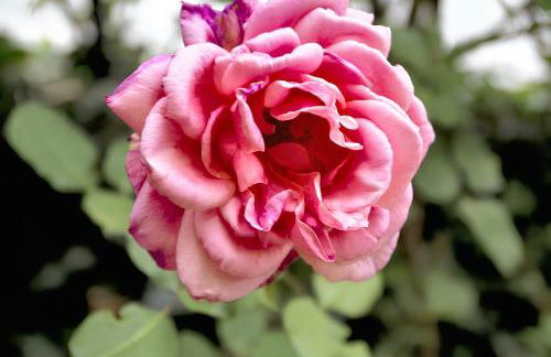 Spacious house in Abejar - Foto 21