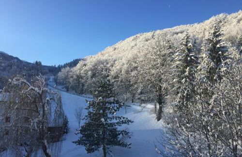 Casa Dalsass - Photo 32