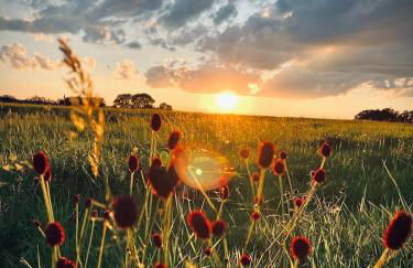 Traumfabrik Eifel mit Sauna & Whirlpool - Foto 59