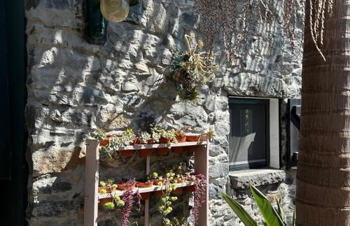 As Casinhas da Madeira - Cosy Stone Cottage in a subtropical garden - Foto 13