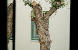 Magnolia Villas Potos Thassos - Photo 67