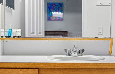 2 MI to USF + Long Term Stays allowed + Gym + Pool - Foto 47