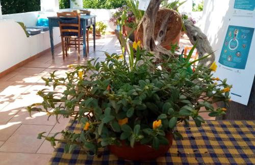 Agriturismo SoleMare - Foto 20