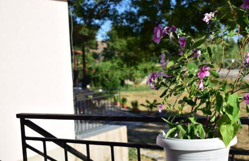 Chliara apartments by Tzalas - Foto 33