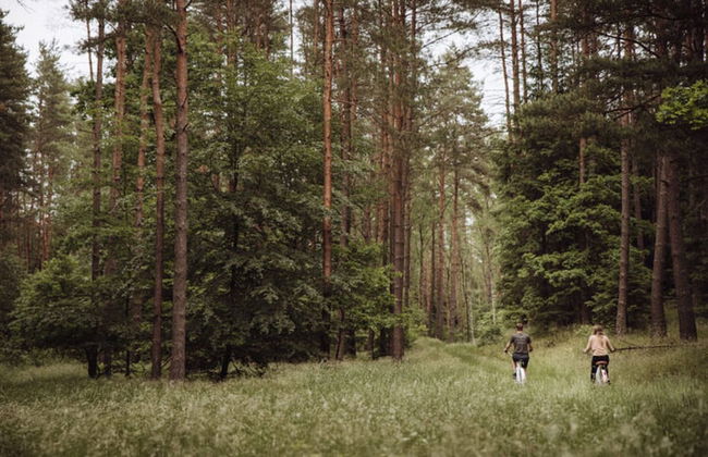 Apartment in Gronowo Near Lake Siecino - Foto 20