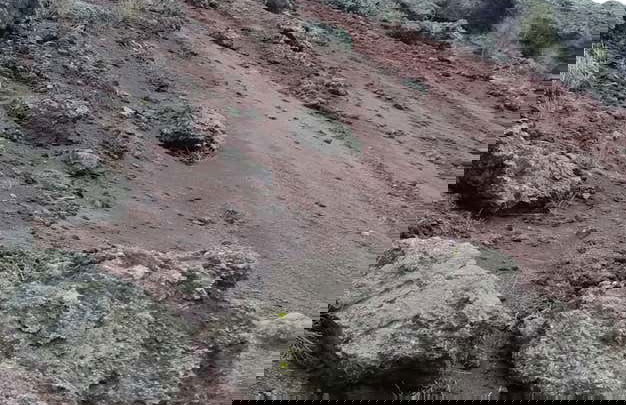 Excursion au Mont Vésuve - Photo 2