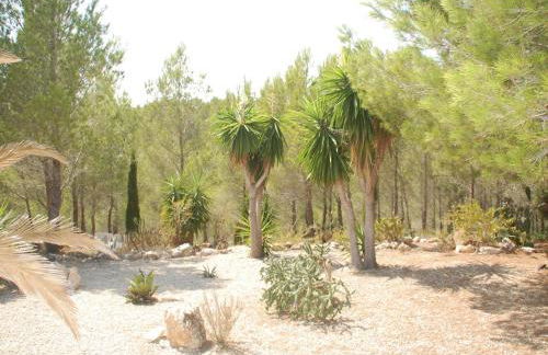 Chalet en Sant Jordi con aire acondicionado, piscina privada y jardín - ES-393-12 - Foto 9