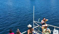 Chácara de vidro - Foto 4