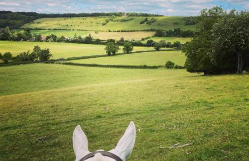 Pretty 2 Bedroom Cottage in Skirmett with Parking - Foto 14