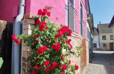 Im Herzen des Kraichgaus 2 - Foto 3