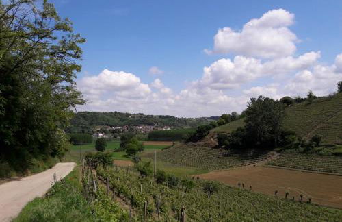 Corte dell'Uva - Foto 80