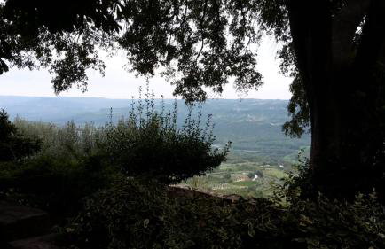 Apartments Judit - Foto 12