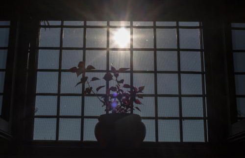 Palazzo Tronconi agriturismo - Foto 80