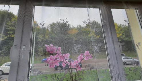 Two-Bedroom Apartment near Triberg Waterfall - Foto 2