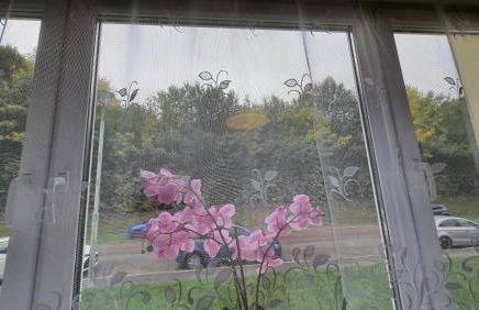 Two-Bedroom Apartment near Triberg Waterfall - Foto 2