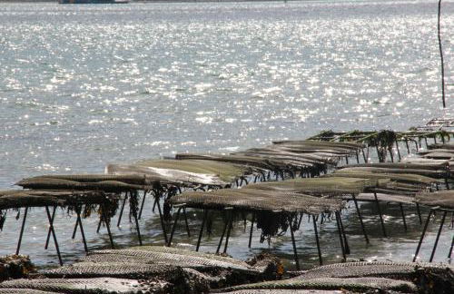 Le Gîte de l'Amer - T2 - Duplex - Centre Bourg - Photo 30