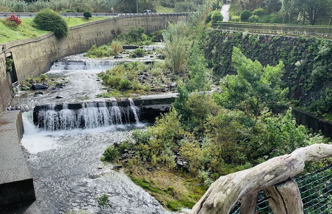 De Casa Villa - Foto 46