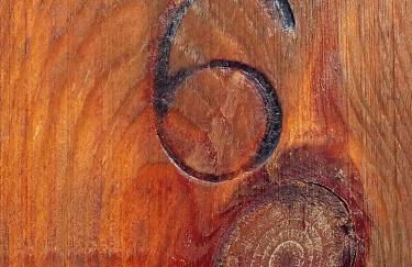 Herdade da Maxuqueira - Foto 40