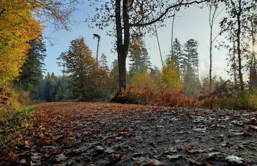 Haus am GoldSteig - Zentral, Ruhig Stadtnah - Top Anbindung - Biergarten und Pizzeria direkt vor der Tür - Photo 39