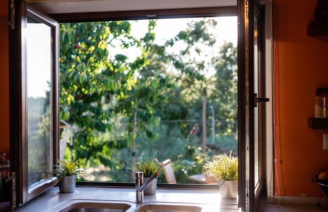 Feel Discovery Maçã Douro - Foto 14