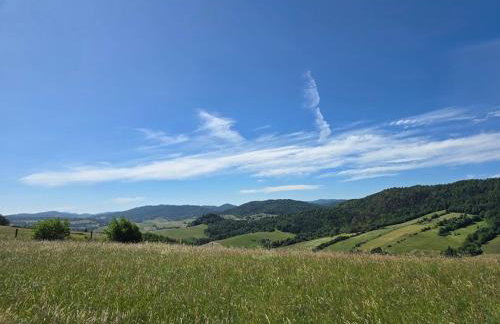 Jaśkowa Chata Bieszczady apartament z basenem nr 1i2 - Foto 3