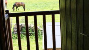 Gite écurie familly - Foto 4