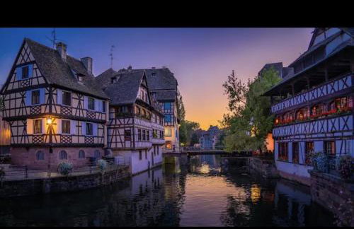 Gite Junior L'Ecrin du Ried PROCHE EUROPA-PARK - Foto 27