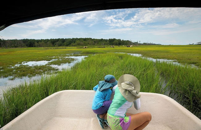 Key West Cottages - Foto 36