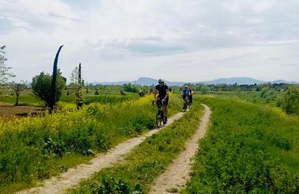 Agriturismo Borgonuovo - Photo 38