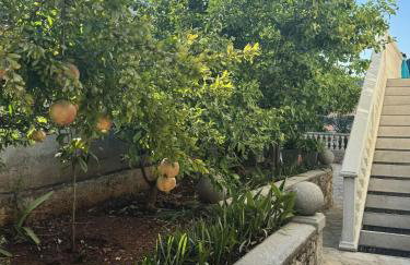 Apartments and Room Villa Makaj - Foto 14