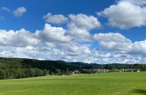 Holiday Home Vogtlandresidenz by Interhome - Foto 15