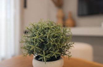 Palaia Luxury Suite - Foto 32