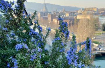 Attico&Nuvole - Foto 31