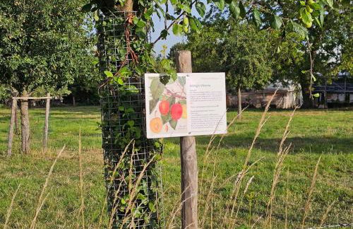 Gartenglück, entspannt wohnen am Obstwanderweg - Foto 36
