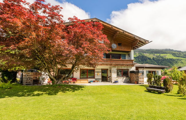 Morgensonne - Foto 20