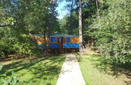 Les roulottes Vesta - Foto 33