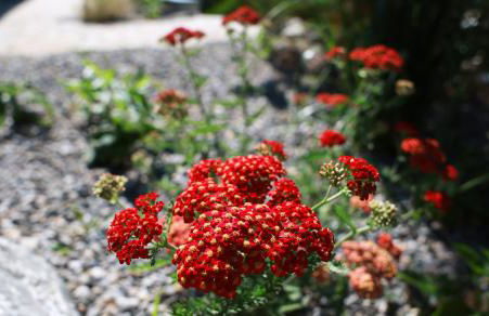 Wohlfühl-Alpenblick Apartments - Foto 52